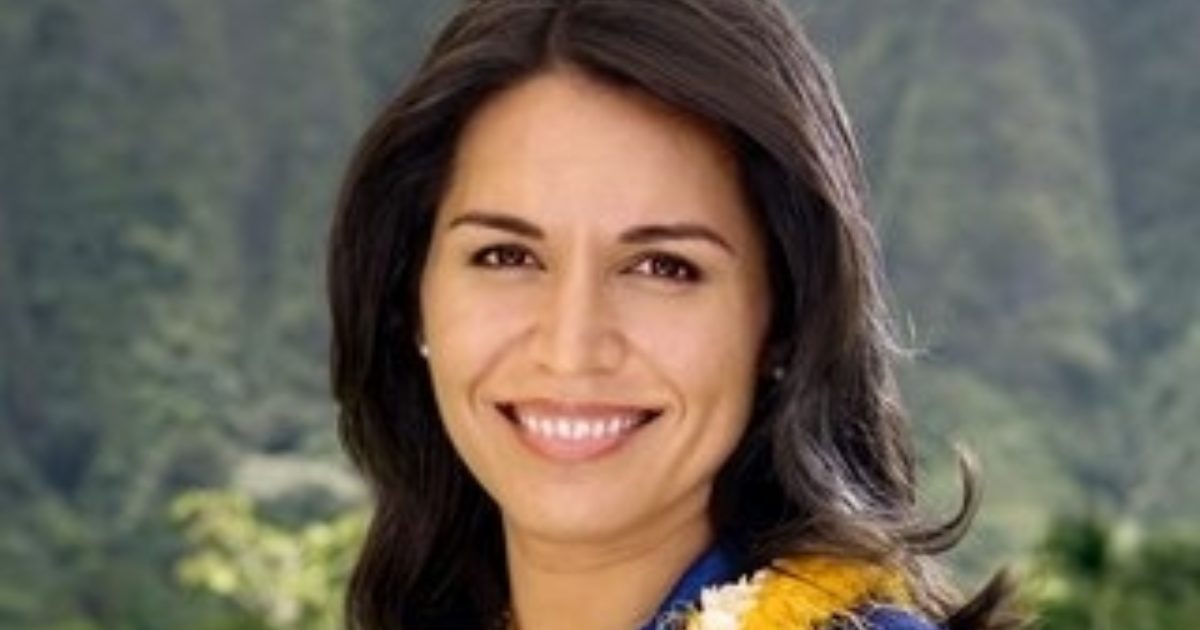 Did Tulsi Gabbard Undergo Plastic Surgery? Body Measurements, Botox, Boob Job, and More!