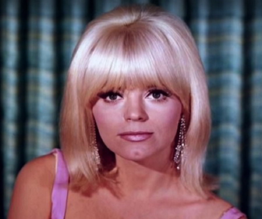 What Plastic Surgery Has Carol Wayne Done?