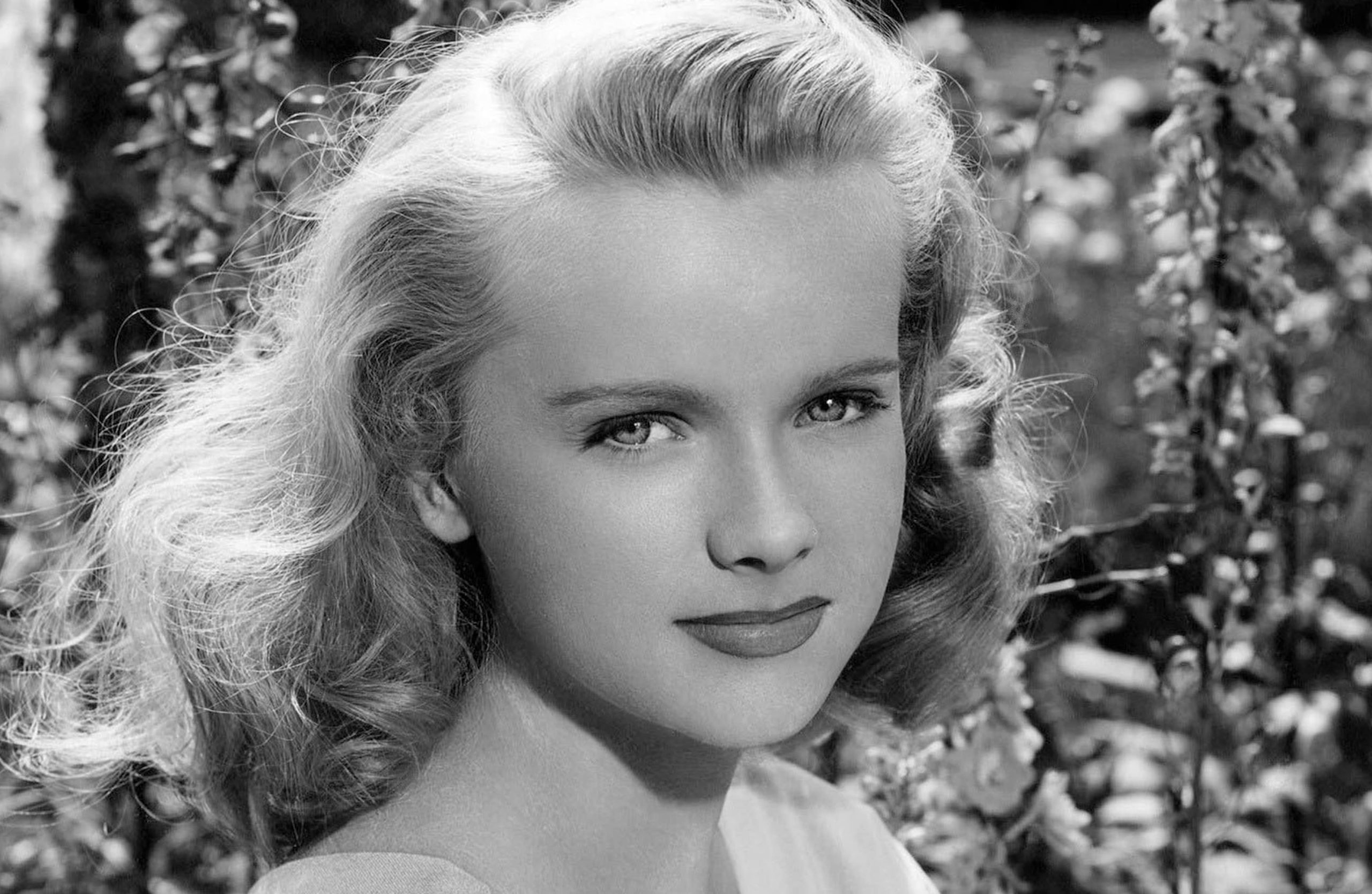 Anne Francis Plastic Surgery Face