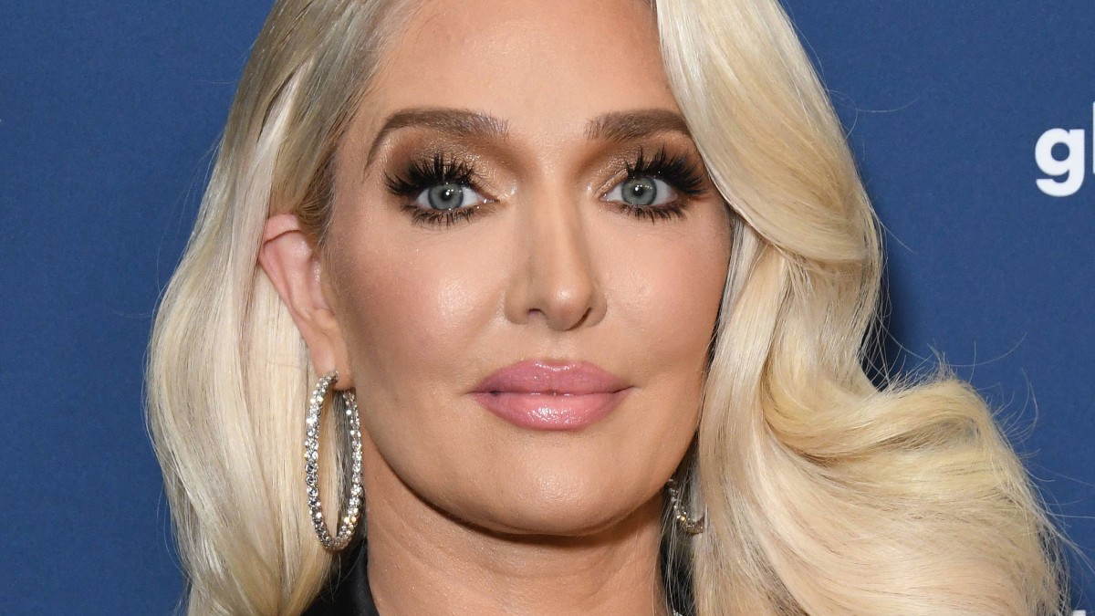 Erika Jayne Cosmetic Surgery Nose Job Botox