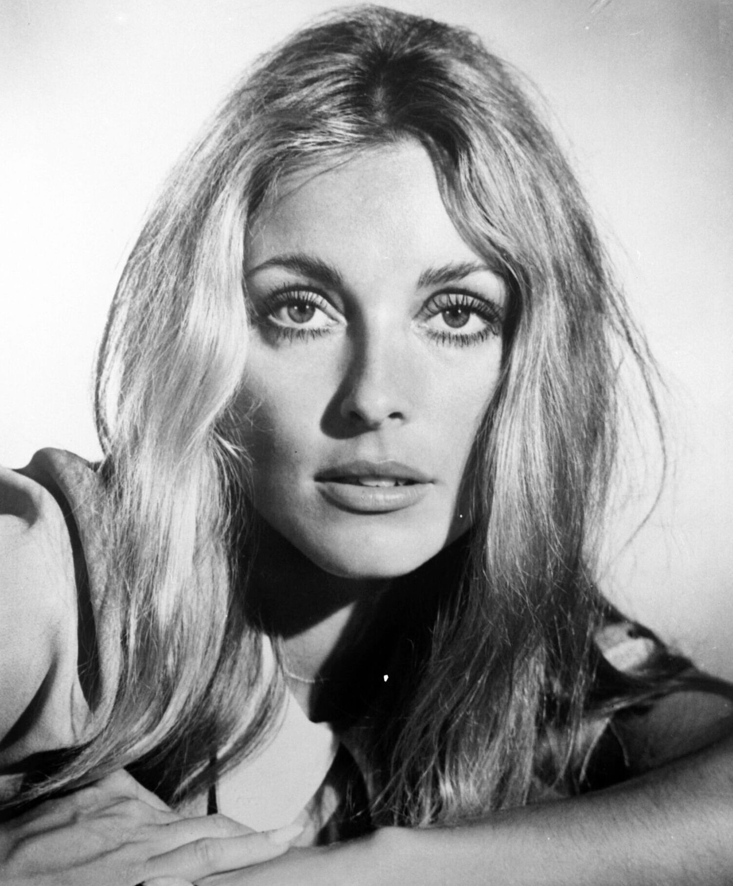 Sharon Tate Plastic Surgery Face