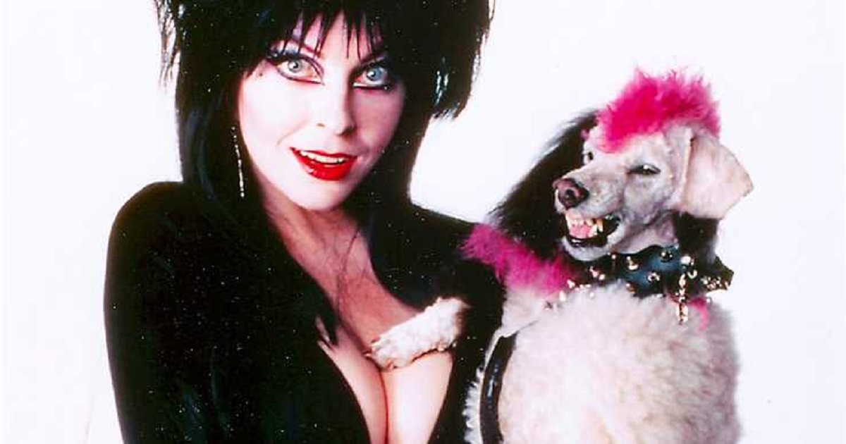 Cassandra Peterson Boob Job