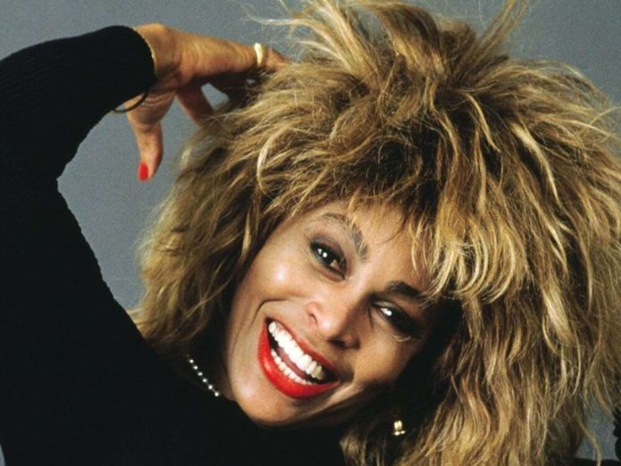 Tina Turner Cosmetic Surgery Face