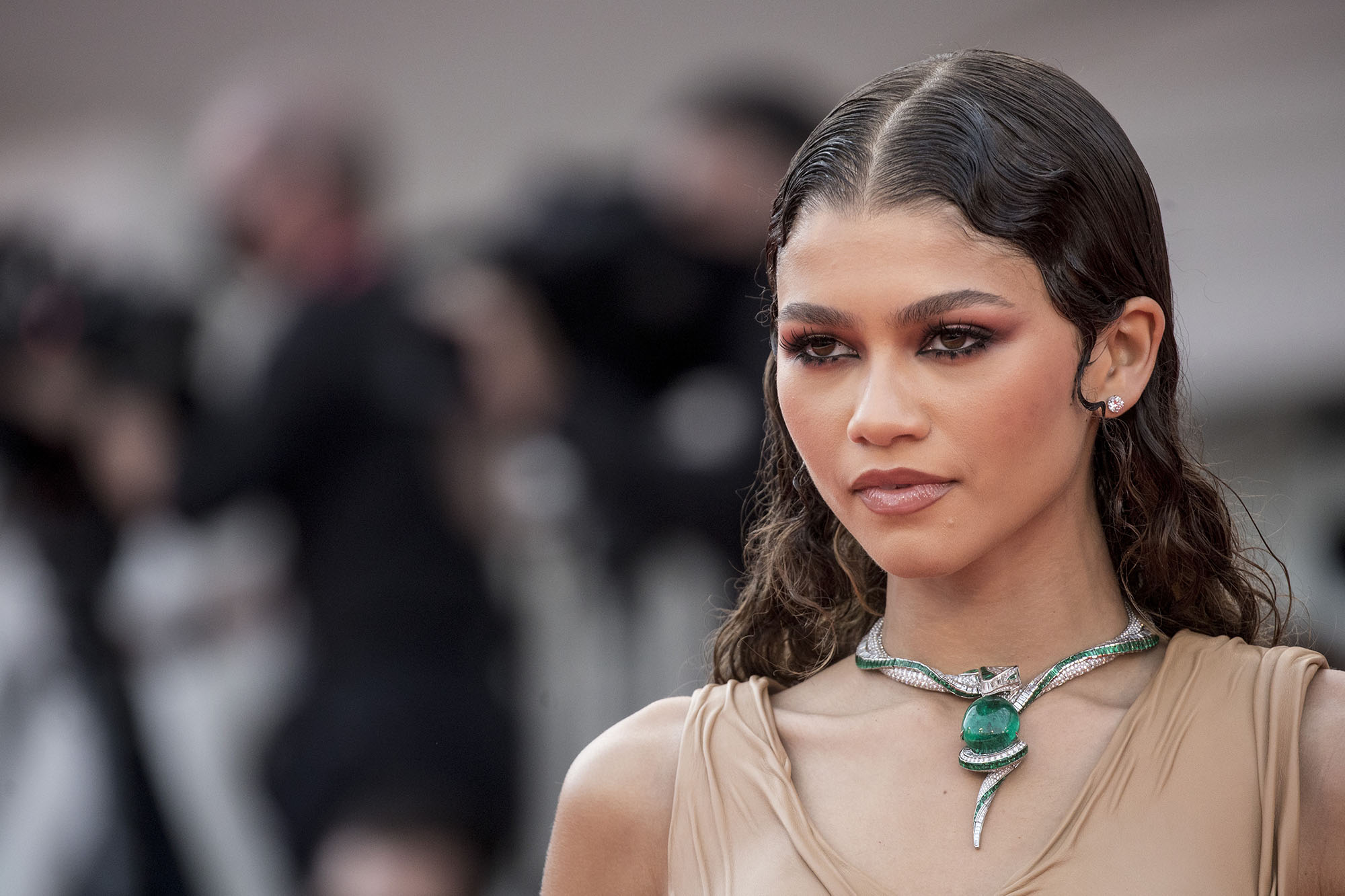 Zendaya Plastic Surgery