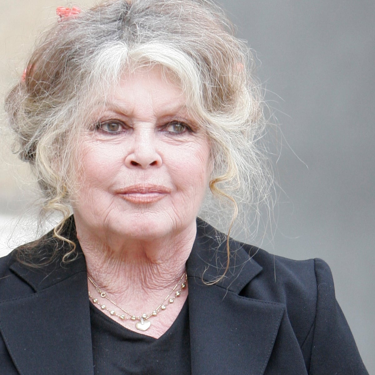 Brigitte Bardot Plastic Surgery Face